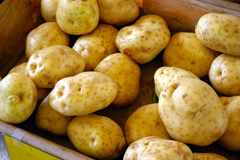 wellbeing, farm market potatoes, freshness, day, harvest, still life, farmers, root, food and drink, heap, close-up, healthy eating, large group of objects