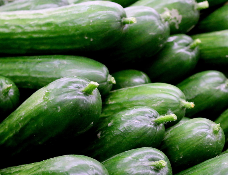 persian cucumber, green color, wellbeing, food and drink, vegan, ripe, cucumbers, farmers market, raw, freshness, market, food, heap, close-up, fresh, no people