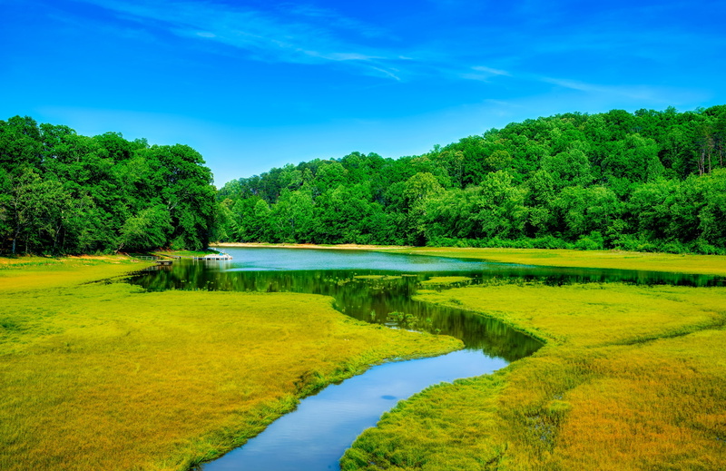 hdr, reflection, tranquility, non-urban scene, rural, no people, scenics - nature, tugaloo river, america, plant, water, trees, growth, wilderness, tranquil scene