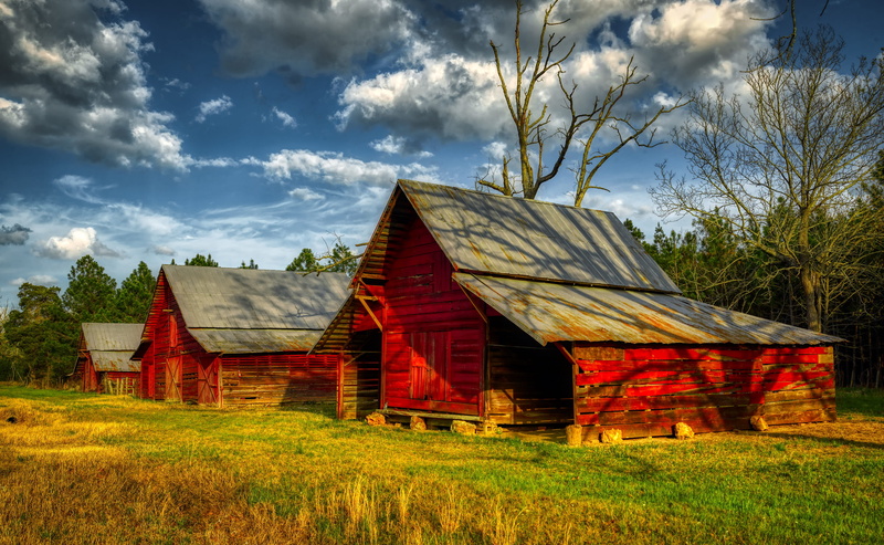 landscape, outdoors, cloud - sky, grass, barn, tree, land, country, meadow, clouds, georgia, ruined, building, field, building exterior, agriculture, rural