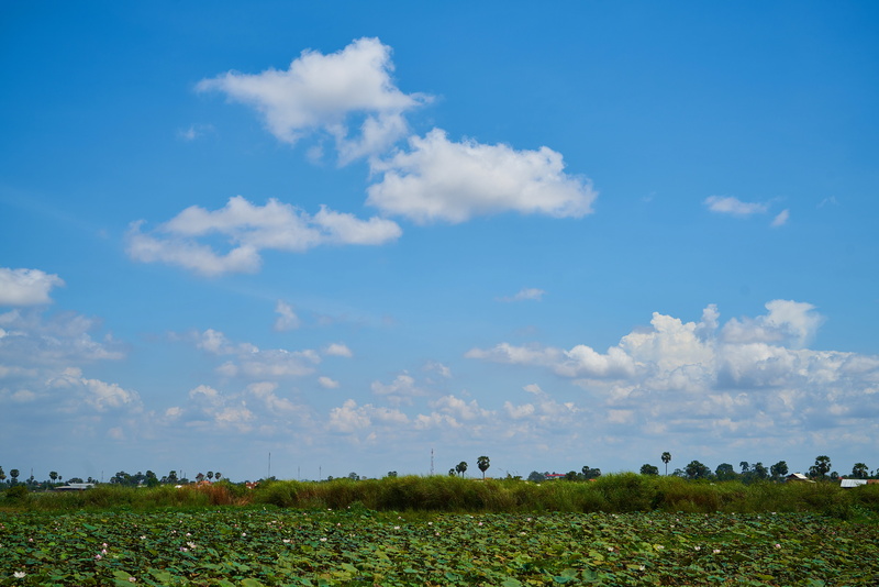 landscape, tranquil scene, farm, agriculture, sunny, cloud, color image, day, environmental, cloud - sky, white, composition, beautiful, cambodia, land