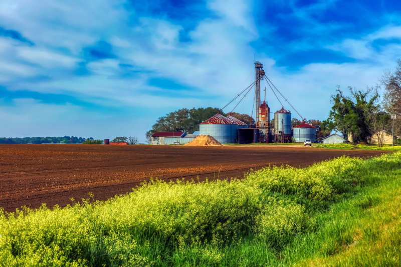 landscape, nature, grass, blue, plant, country, agriculture, no people, outdoors, environment, building exterior, sunset, 4K, field, house, scenic, rural