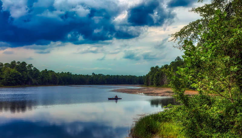 nature, green color, basto lake, pine barrens, growth, hdr, america, plant, fishing, woods, forest, day, tranquility, country, scenics - nature, outdoors