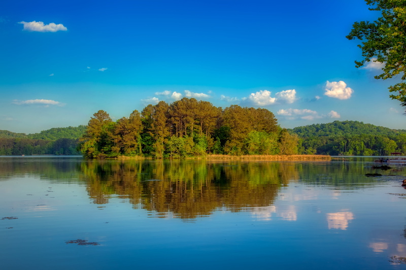 alabama, tranquility, scenics - nature, sky, tranquil scene, idyllic, growth, plant, forest, trees, wilderness, change, nature, day, cloud - sky, america
