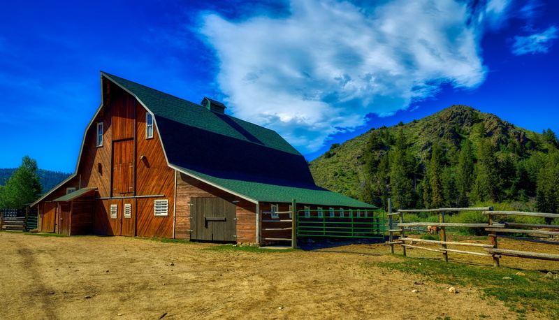 farm, architecture, building exterior, woods, hdr, ranch, scenics - nature, nature, rural, forest, beauty in nature, america, cloud - sky, day, outdoors