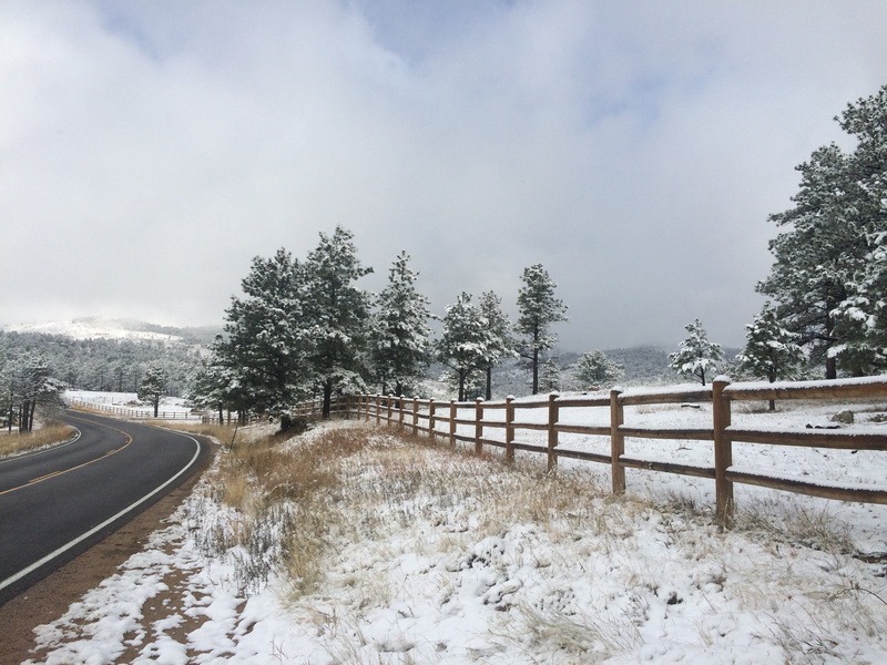 pine tree, canyon, snowing, environment, sunshine canyon, mountain, transportation, cold - Temperature, winter, snow mountain, scenics - nature, snow, barrier