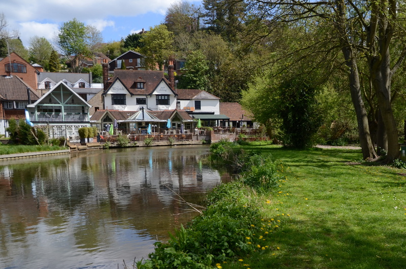 building exterior, england, weyside, guildford, waterfront, river, plant, grass, green color, tavern, field, the weyside, lake, architecture, united kingdom