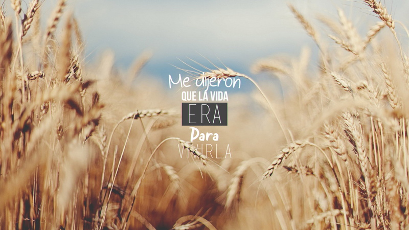 typography, landscape, 1080P, text, nature, Spanish