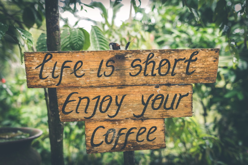 wood - material, enjoy, photography, information, close-up, wooden, focus on foreground, coffee, nature, guidance, information sign, arrow symbol, no people