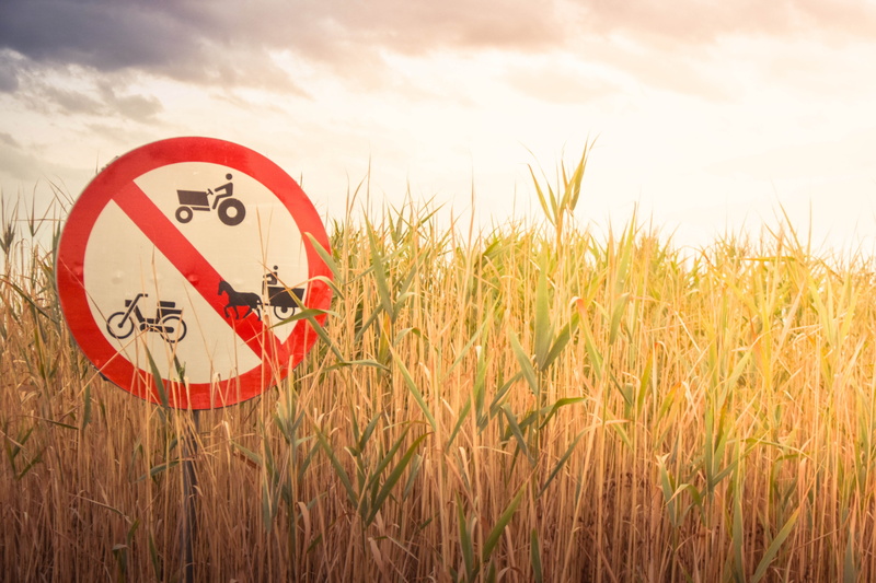 environment, summer, street, bad, nature, end, cereal plant, communication, no people, land, warning symbol, sign, road, plant, off, outdoors, field, 5K