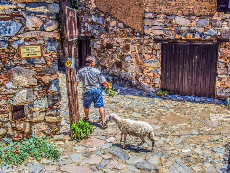 village, nicosia district, built structure, full length, cyprus, traditional, building exterior, troodhos, street, day, sheep, mediterranean, fikardou