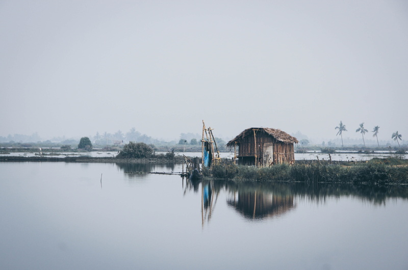 waterfront, tranquility, trees, body, shack, cabin, outdoors, palm, brown, water, built structure, reflection, clear sky, distant, beauty in nature, shed