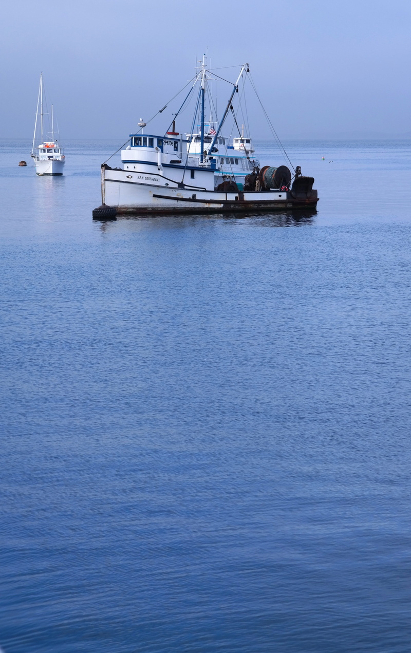 sailing, outdoors, california, yacht, bay, no people, shed, luxury, monterey bay, travel, beauty in nature, nature, blue, transportation, ship, recreational boat