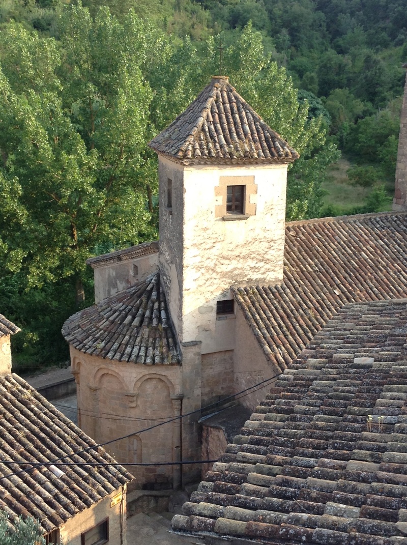 growth, house, sunlight, bages, roof, building exterior, high angle view, roof tile, 2K, old, built structure, day, romanesque church, travel destinations