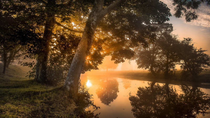 united kindgom, tranquility, oundle, dawn, scenics - nature, bank, reflection lake, canal, sunrise, morning, water, light, peterborough, idyllic, change