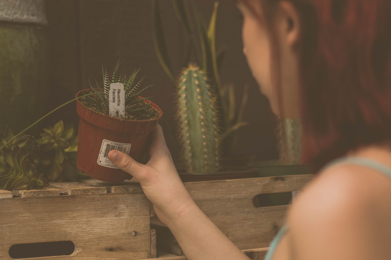 waynesville, flower, vase, finger, garden centre, hand, women, 5K, wood - material, aloe, holding, day, adult, garden center, plant, female, lifestyles