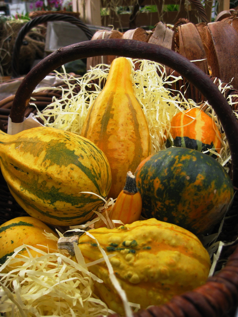 2K, fruit, basket, season, outdoors, wellbeing, still life, organic, container, garden centre, pumpkin, no people, squash, food and drink, day, yellow