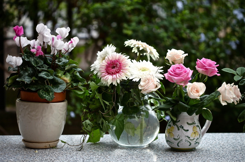 cut Flowers, daisies, backgrounds, pink, freshness, wedding, fragility, multi Colored, botany, vulnerability, rose - Flower, yellow, day, no People, pink Color