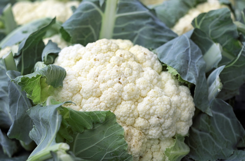 raw Food, cabbage, vegetable, 4K, day, market fresh vegetables, healthy Eating, organic, close, cauliflower, leaf, green color, agriculture, white color