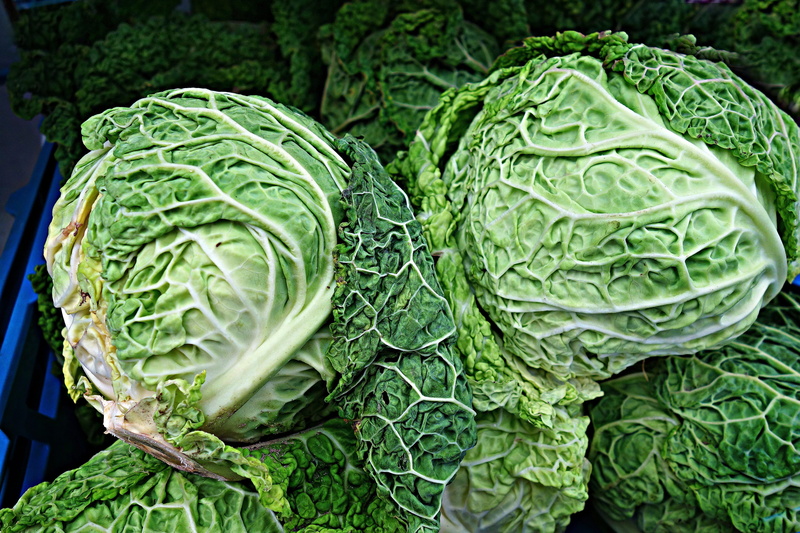 minerals, raw food, cabbage, market, green color, savoy cabbage, fresh cabbage, eating, food, green, plant part, leaf, agriculture, nutrition, close-up