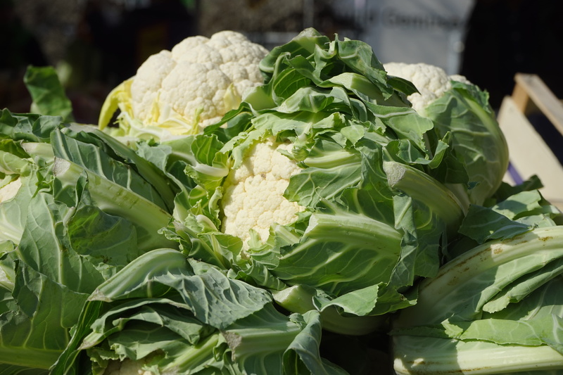 leaf, flowering cabbage, grape cabbage, green color, plant part, vegetable, food and drink, cabbage, brassica oleracea, wellbeing, day, no people, photography