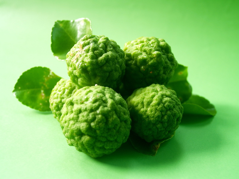 ingredient, hair, rough, citrus, asian, raw food, colored background, studio shot, kaffir, tropical, organic, close-up, focus on foreground, herb, lemon