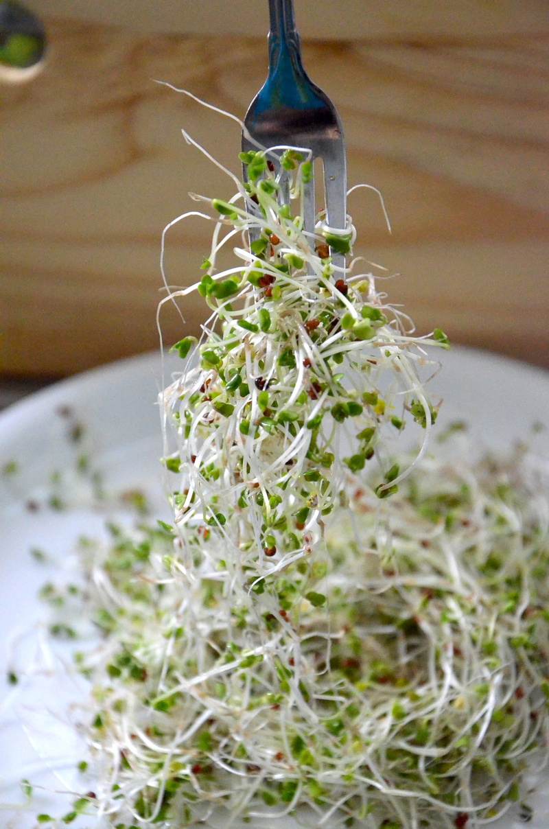 vegetable, kitchen utensil, still life, vegetarian Food, nature, indoors, glass - material, food And Drink, 1080P, alfalfa Sprout, selective focus, close-up