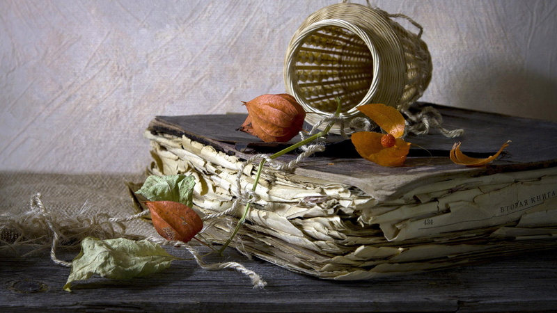 2K, wicker, beige, photography, book, old, 2560x1440, basket, vase