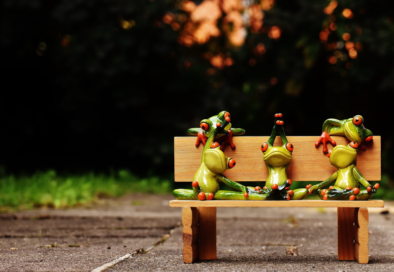 day, close-up, animal representation, yoga, rest, frogs, relaxation, bench, plant part, 5K, bank, no people, green color, tree, animal world, food and drink