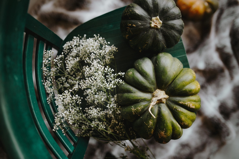 vegetable, close-up, 5K, no people, directly above, pumpkin, freshness, food, indoors, top, green, nature, flat lay, autumn, flower, green color, plant