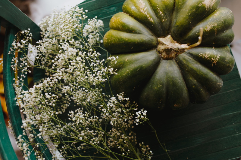 pumpkin, no people, focus on foreground, healthy eating, plant, flat lay, view, food and drink, flower, growth, flowering plant, food, 4K, autumn, green