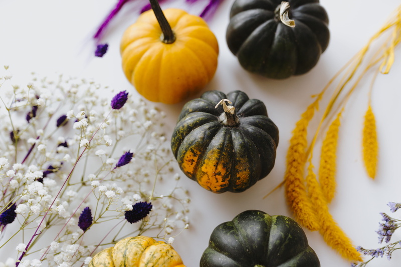 indoors, fall, pumpkins, nature, no people, dark, freshness, 5K, healthy eating, flat lay, decoration, flowering plant, crop, ripe, vegetable, background