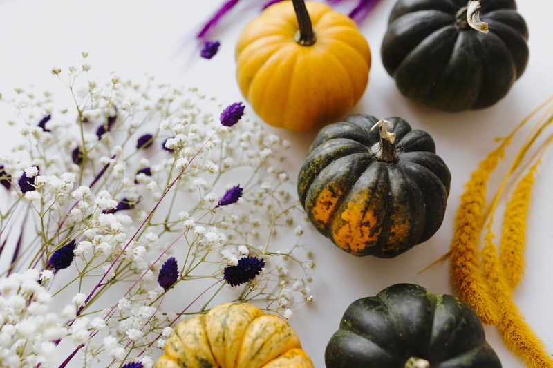 squash - vegetable, indoors, white, halloween, freshness, flowering plant, multi colored, crop, pumpkins, variation, dark, plant, fall, flat lay, green