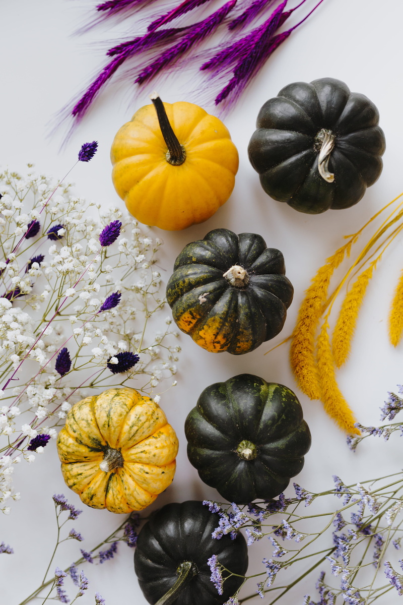october, flower, multi colored, purple, food and drink, dark, orange color, fall, yellow pumpkin, halloween, autumn, green, small, pumpkins, still life