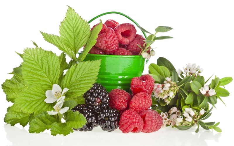 freshness, food And Drink, berries, white Background, parsley, wellbeing, blackberries, still life, isolated, dieting, red, mint Leaf - Culinary, plant