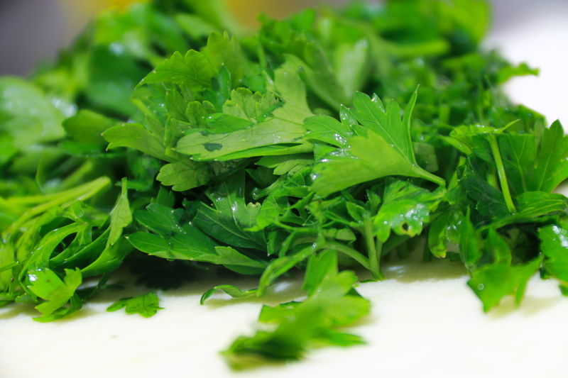 plant part, raw Food, white, salad, healthy Lifestyle, green, selective focus, backgrounds, ready-to-eat, food And Drink, vitamins, plate, dieting, herbs