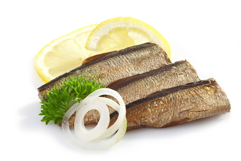 seafood, lemon, animal, green Color, fish, backgrounds, parsley, wellbeing, no people, studio shot, still life, food, leaf, vegetable, herring, healthy eating
