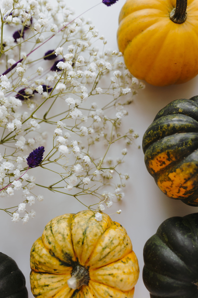 halloween, healthy eating, no people, yellow, small, squash - vegetable, still life, green, dark, nature, flower, pumpkin, pumpkins, plant, fall, wellbeing
