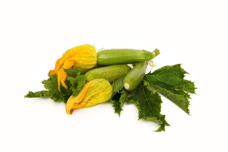 diet, eating, raw food, fresh, zucchini, healthy lifestyle, close-up, leaf, green color, cooking, vegan, nutrition, meal, white background, healthy, plant part