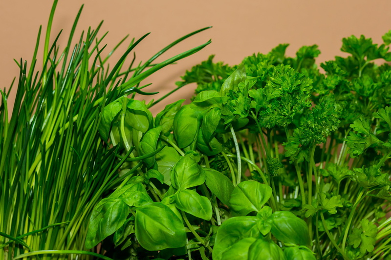 food and drink, leaf, lush foliage, Chives, outdoors, freshness, vulnerability, beige, wall, land, Cook, parsley, plant part, basil, culinary herbs, Culinary