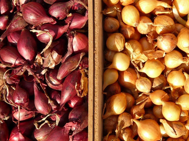 close, indoors, eat, vegetables, large group of objects, onion, directly above, still life, wellbeing, healthy, food and drink, close-up, abundance, healthy eating