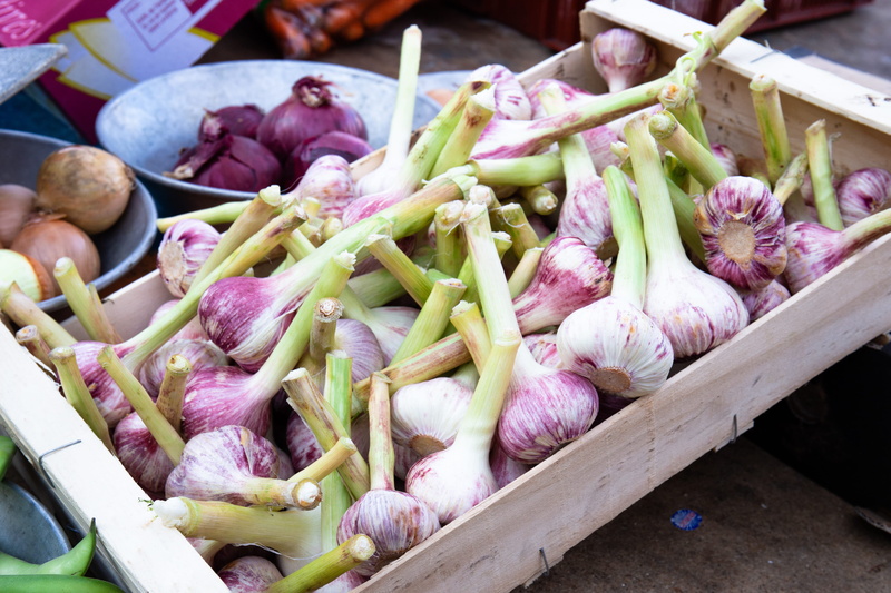 shallot, retail, common beet, sprout, animal, crate, radish, kohlrabi, vegetarian food, sliced, purple, fresh food, bean sprout, large group of objects
