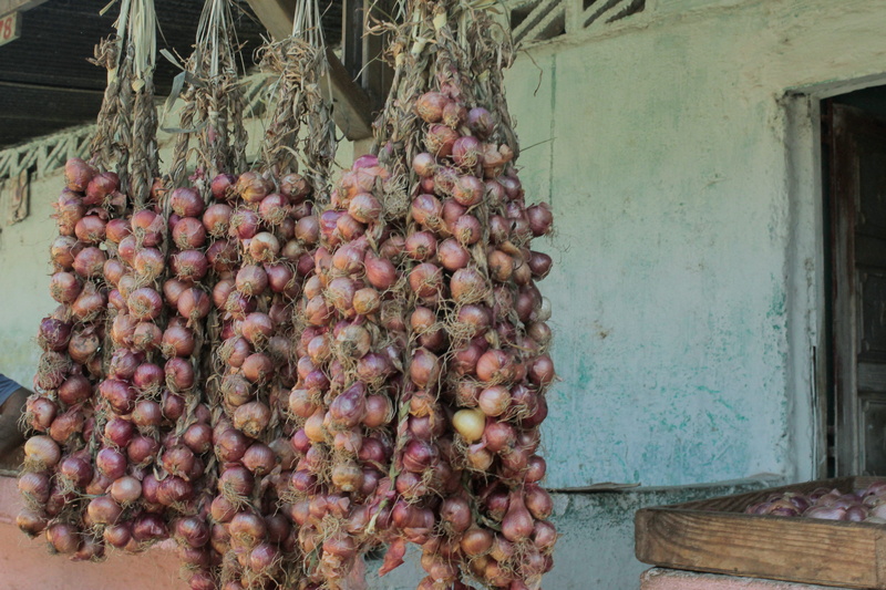 retail, squash, market, turnip, sell, cuba, 5K, pineapple, onion, fruit, for sale, produce, camaguey, shallot, basket, outdoors, plant, hanging, wall - building feature
