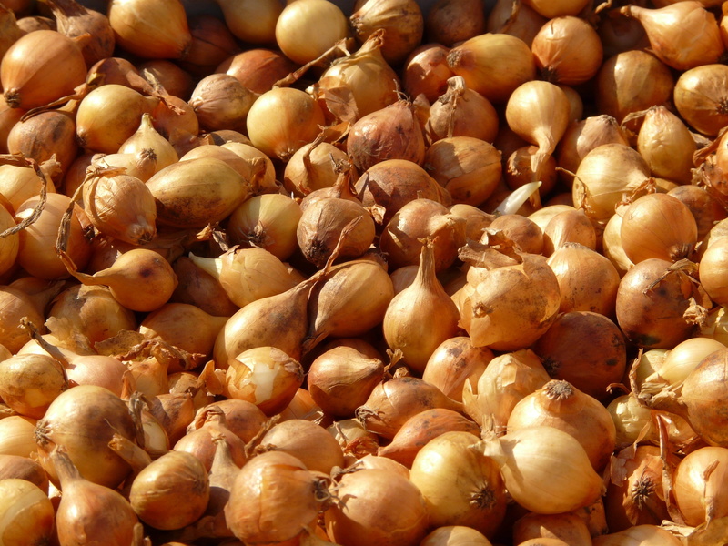 abundance, 2K, raw food, healthy, vegetables, wellbeing, close, for sale, no people, nut - food, freshness, macro, retail, food, sharp, vitamins, nut