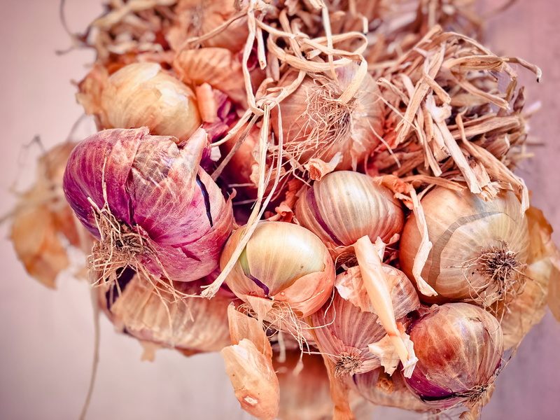 ingredient, vegetable onion, noble onion, plant bulb, house onion, cream onion, onion, vegetable, onions, healthy eating, still life, garlic clove, shallots