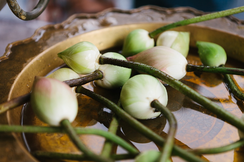close-up, bean, plant, nature, round, tradition, selective focus, lentil, seasoning, fruits, day, sprout, produce, freshness, flowers, lotus, wellbeing