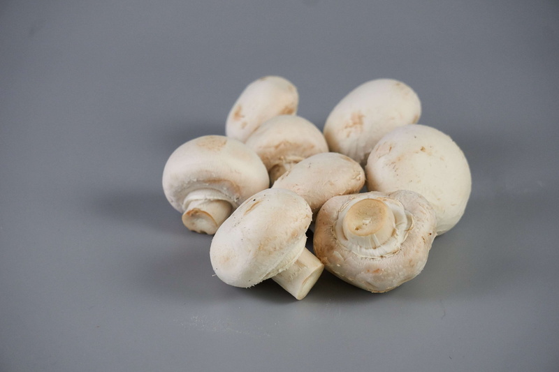 champignons comestibles, still life, no people, champignons, alimentation, healthy eating, freshness, sous bois, nature, food and drink, indoors, studio shot