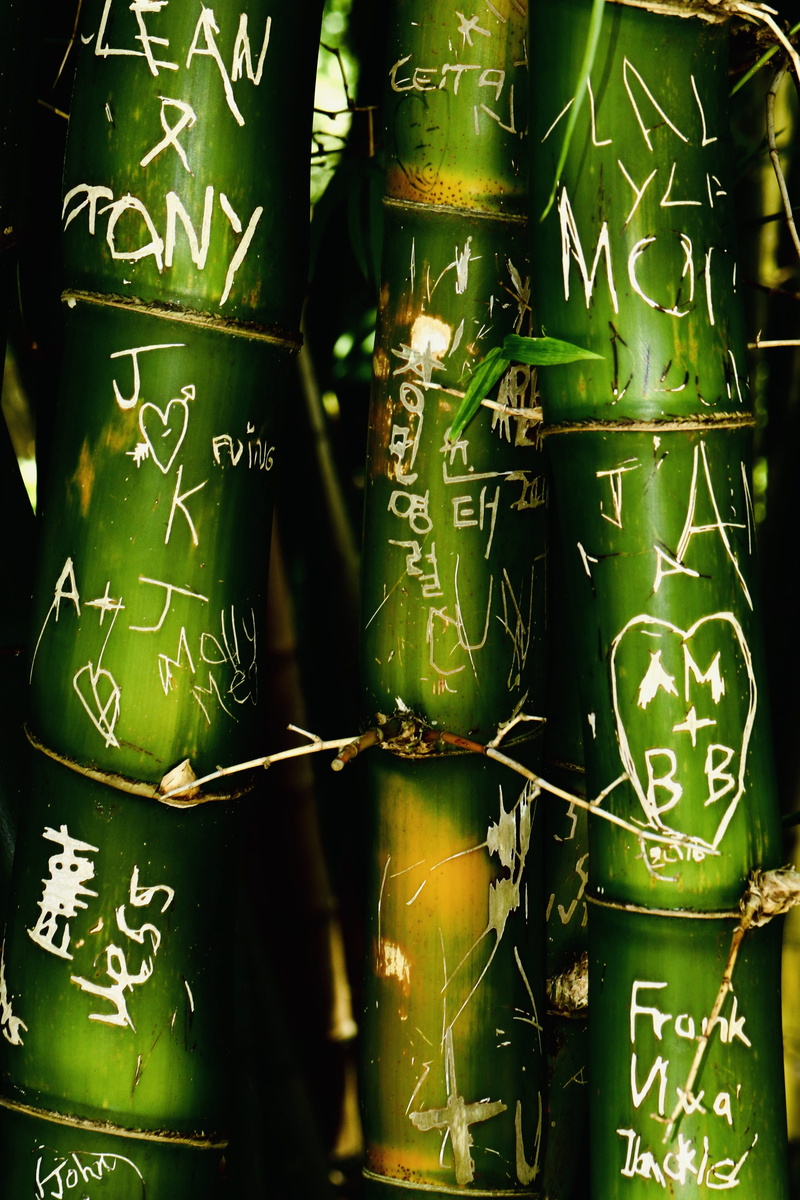 stick, ginger, number, alcohol, handwriting, close-up, communication, produce, green, food, full frame, vegetable, tin, dessert, backgrounds, information