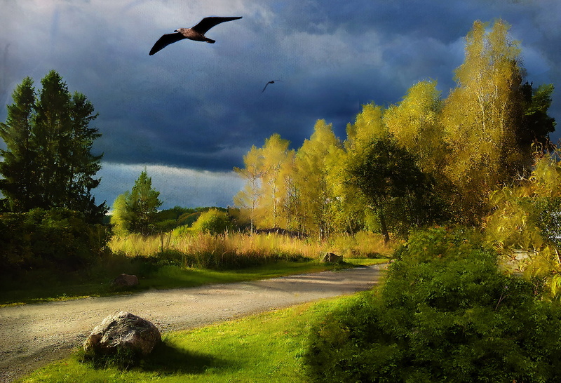 trees, bird, picture, figure, landscape, grass, canvas, 1080P, road