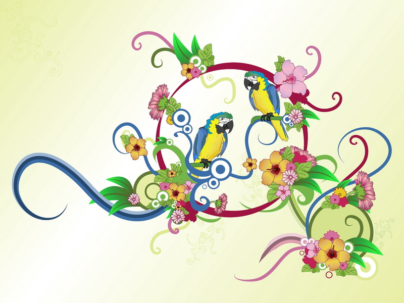 flower, parrots, still life, art, ornate, clip Art, springtime, frame, vector, style, lighting equipment, 720P, single Flower, yellow, summer, multi Colored